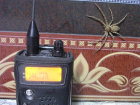 thumbs/TH_F7_Spinne_1024.png